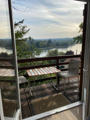 Chalet en bord de Seine, Le Coudray-Montceaux